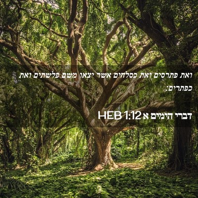 Picture 02 - דברי הימים א 1:12 HEB - ואת פתרסים ואת כסלחים אשר - Bible Verse Picture