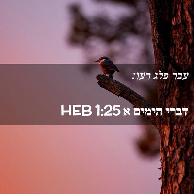 Picture 02 - דברי הימים א 1:25 HEB - עבר פלג - Bible Verse Picture