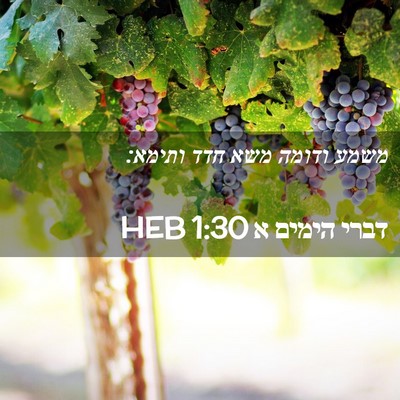 Picture 02 - דברי הימים א 1:30 HEB - משמע ודומה משא חדד - Bible Verse Picture