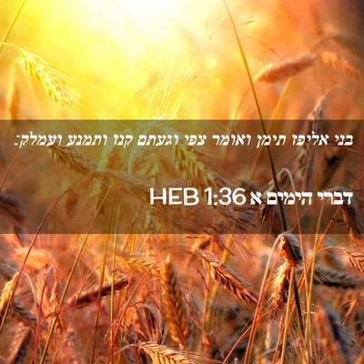 Picture 02 - דברי הימים א 1:36 HEB - בני אליפז תימן ואומר צפי - Bible Verse Picture