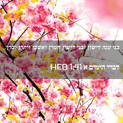 Picture 02 - דברי הימים א 1:41 HEB - בני ענה דישון ובני דישון - Bible Verse Picture