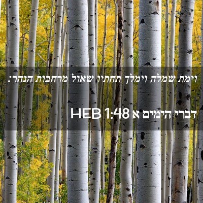 Picture 02 - דברי הימים א 1:48 HEB - וימת שמלה וימלך תחתיו שאול - Bible Verse Picture