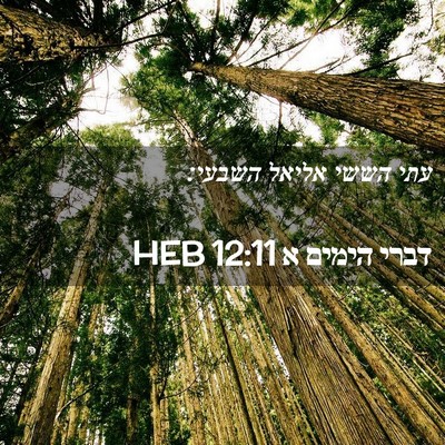 Picture 02 - דברי הימים א 12:11 HEB - עתי הששי אליאל - Bible Verse Picture