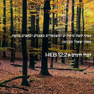 Picture 02 - דברי הימים א 12:2 HEB - נשקי קשת מימינים ומשמאלים - Bible Verse Picture