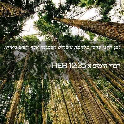Picture 02 - דברי הימים א 12:35 HEB - ומן הדני ערכי מלחמה עשרים - Bible Verse Picture