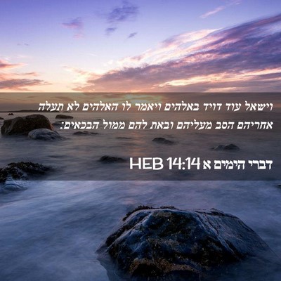 Picture 02 - דברי הימים א 14:14 HEB - וישאל עוד דויד באלהים - Bible Verse Picture