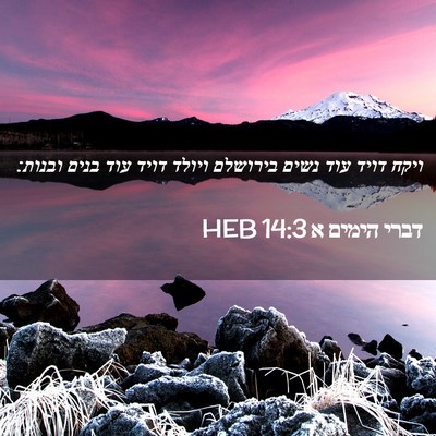 Picture 02 - דברי הימים א 14:3 HEB - ויקח דויד עוד נשים בירושלם - Bible Verse Picture