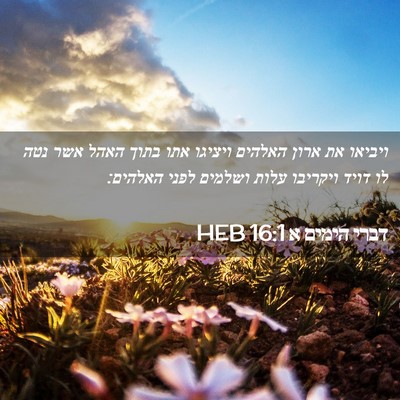 Picture 02 - דברי הימים א 16:1 HEB - ויביאו את ארון האלהים - Bible Verse Picture