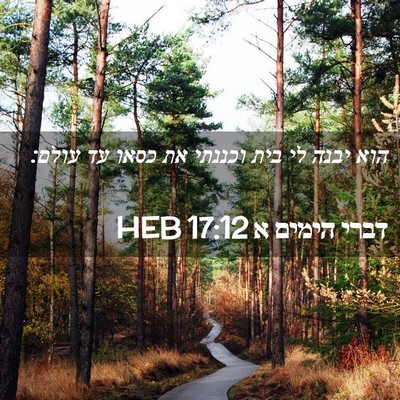 Picture 02 - דברי הימים א 17:12 HEB - הוא יבנה לי בית וכננתי את - Bible Verse Picture