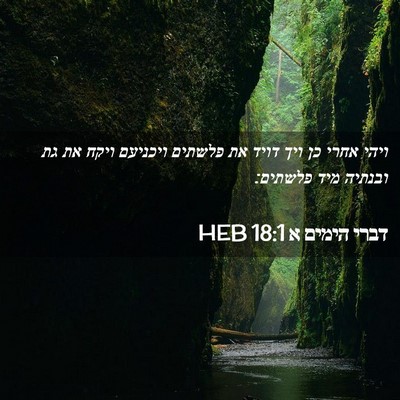 Picture 02 - דברי הימים א 18:1 HEB - ויהי אחרי כן ויך דויד את - Bible Verse Picture