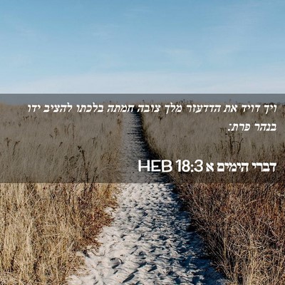 Picture 02 - דברי הימים א 18:3 HEB - ויך דויד את הדדעזר מלך צובה - Bible Verse Picture