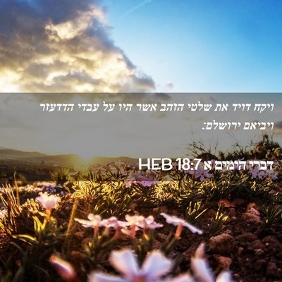 Picture 02 - דברי הימים א 18:7 HEB - ויקח דויד את שלטי הזהב אשר - Bible Verse Picture
