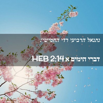 Picture 02 - דברי הימים א 2:14 HEB - נתנאל הרביעי רדי - Bible Verse Picture