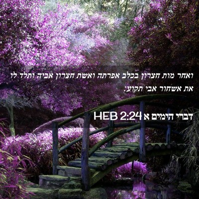 Picture 02 - דברי הימים א 2:24 HEB - ואחר מות חצרון בכלב אפרתה - Bible Verse Picture