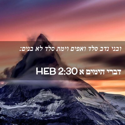 Picture 02 - דברי הימים א 2:30 HEB - ובני נדב סלד ואפים וימת סלד - Bible Verse Picture