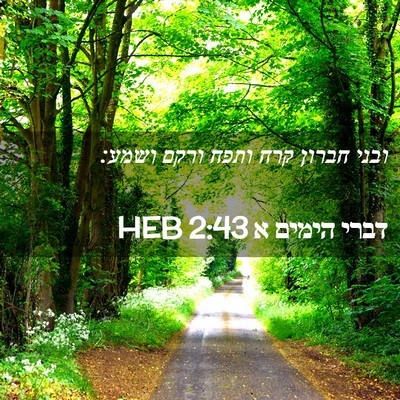 Picture 02 - דברי הימים א 2:43 HEB - ובני חברון קרח ותפח ורקם - Bible Verse Picture