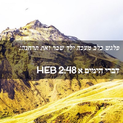 Picture 02 - דברי הימים א 2:48 HEB - פלגש כלב מעכה ילד שבר ואת - Bible Verse Picture
