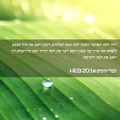 Picture 02 - דברי הימים א 20:1 HEB - ויהי לעת תשובת השנה לעת צאת - Bible Verse Picture