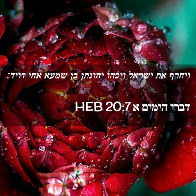 Picture 02 - דברי הימים א 20:7 HEB - ויחרף את ישראל ויכהו - Bible Verse Picture