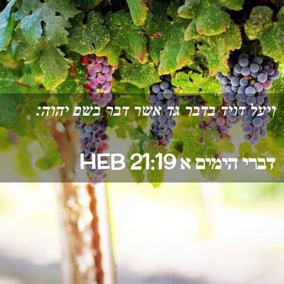 Picture 02 - דברי הימים א 21:19 HEB - ויעל דויד בדבר גד אשר דבר - Bible Verse Picture