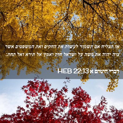 Picture 02 - דברי הימים א 22:13 HEB - אז תצליח אם תשמור לעשות את - Bible Verse Picture