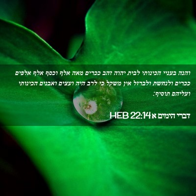 Picture 02 - דברי הימים א 22:14 HEB - והנה בעניי הכינותי לבית - Bible Verse Picture