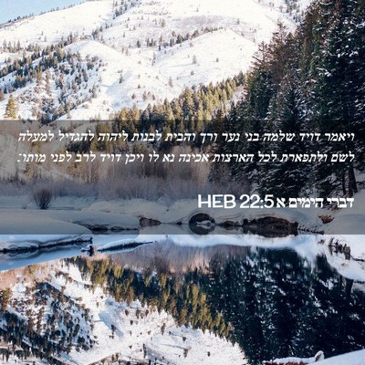 Picture 02 - דברי הימים א 22:5 HEB - ויאמר דויד שלמה בני נער ורך - Bible Verse Picture