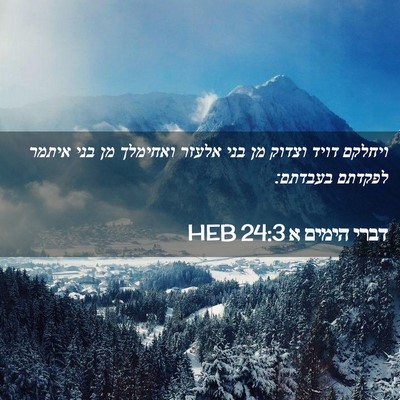 Picture 02 - דברי הימים א 24:3 HEB - ויחלקם דויד וצדוק מן בני - Bible Verse Picture