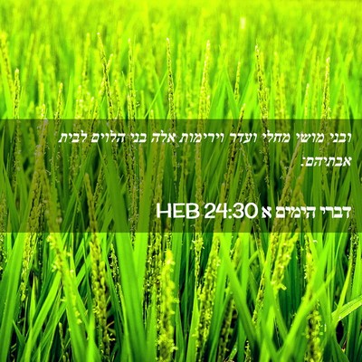Picture 02 - דברי הימים א 24:30 HEB - ובני מושי מחלי ועדר - Bible Verse Picture