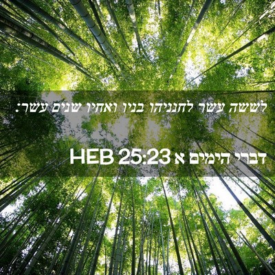 Picture 02 - דברי הימים א 25:23 HEB - לששה עשר לחנניהו בניו - Bible Verse Picture