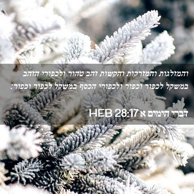 Picture 02 - דברי הימים א 28:17 HEB - והמזלגות והמזרקות והקשות - Bible Verse Picture
