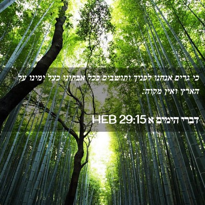 Picture 02 - דברי הימים א 29:15 HEB - כי גרים אנחנו לפניך - Bible Verse Picture
