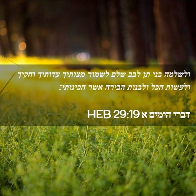 Picture 02 - דברי הימים א 29:19 HEB - ולשלמה בני תן לבב שלם לשמור - Bible Verse Picture