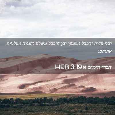 Picture 02 - דברי הימים א 3:19 HEB - ובני פדיה זרבבל ושמעי ובן - Bible Verse Picture