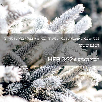 Picture 02 - דברי הימים א 3:22 HEB - ובני שכניה שמעיה ובני - Bible Verse Picture