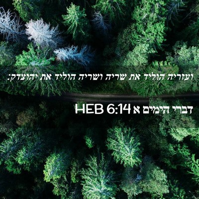 Picture 02 - דברי הימים א 6:14 HEB - ועזריה הוליד את שריה ושריה - Bible Verse Picture