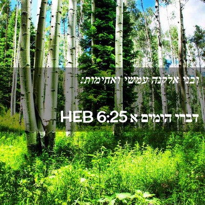 Picture 02 - דברי הימים א 6:25 HEB - ובני אלקנה עמשי - Bible Verse Picture