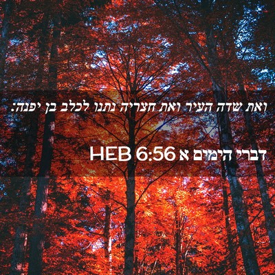 Picture 02 - דברי הימים א 6:56 HEB - ואת שדה העיר ואת חצריה נתנו - Bible Verse Picture