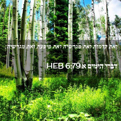 Picture 02 - דברי הימים א 6:79 HEB - ואת קדמות ואת מגרשיה ואת - Bible Verse Picture
