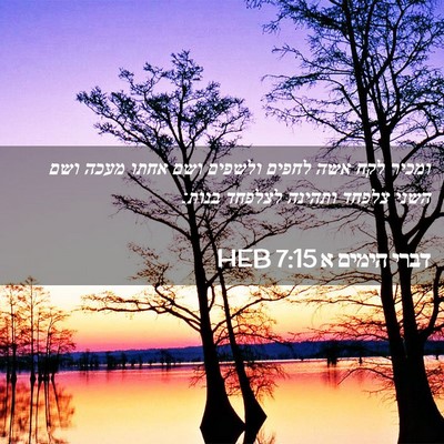 Picture 02 - דברי הימים א 7:15 HEB - ומכיר לקח אשה לחפים ולשפים - Bible Verse Picture