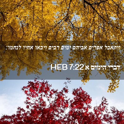 Picture 02 - דברי הימים א 7:22 HEB - ויתאבל אפרים אביהם ימים - Bible Verse Picture