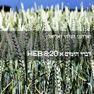 Picture 02 - דברי הימים א 8:20 HEB - ואליעני וצלתי - Bible Verse Picture