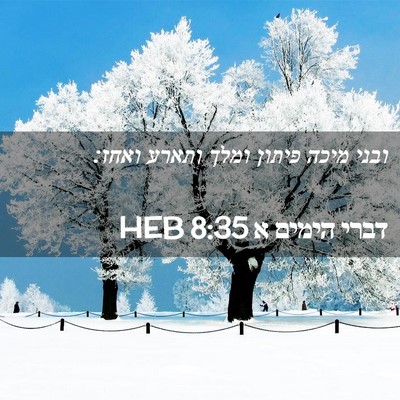 Picture 02 - דברי הימים א 8:35 HEB - ובני מיכה פיתון ומלך ותארע - Bible Verse Picture