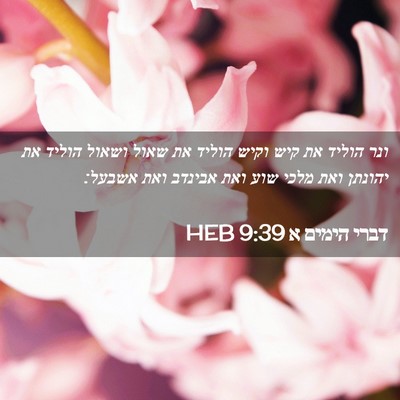 Picture 02 - דברי הימים א 9:39 HEB - ונר הוליד את קיש וקיש הוליד - Bible Verse Picture