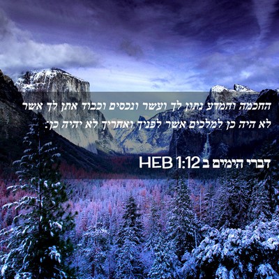 Picture 02 - דברי הימים ב 1:12 HEB - החכמה והמדע נתון לך ועשר - Bible Verse Picture