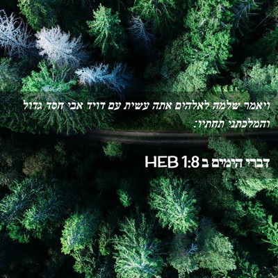 Picture 02 - דברי הימים ב 1:8 HEB - ויאמר שלמה לאלהים אתה עשית - Bible Verse Picture