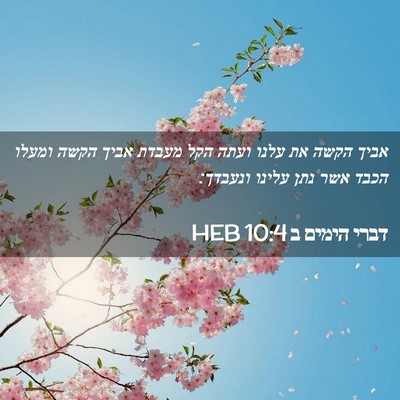 Picture 02 - דברי הימים ב 10:4 HEB - אביך הקשה את עלנו ועתה הקל - Bible Verse Picture