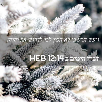 Picture 02 - דברי הימים ב 12:14 HEB - ויעש הרע כי לא הכין לבו - Bible Verse Picture