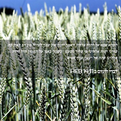 Picture 02 - דברי הימים ב 14:11 HEB - ויקרא אסא אל יהוה אלהיו - Bible Verse Picture