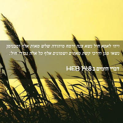 Picture 02 - דברי הימים ב 14:8 HEB - ויהי לאסא חיל נשא צנה ורמח - Bible Verse Picture